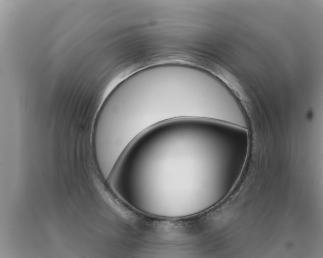X0000091081234200708061038