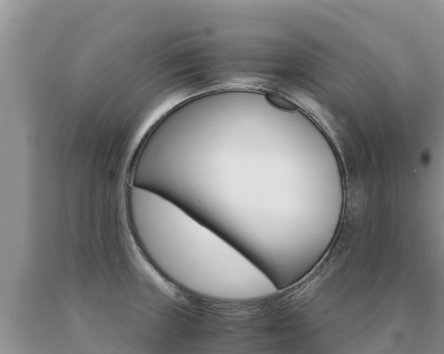 X0000091081235200708061038