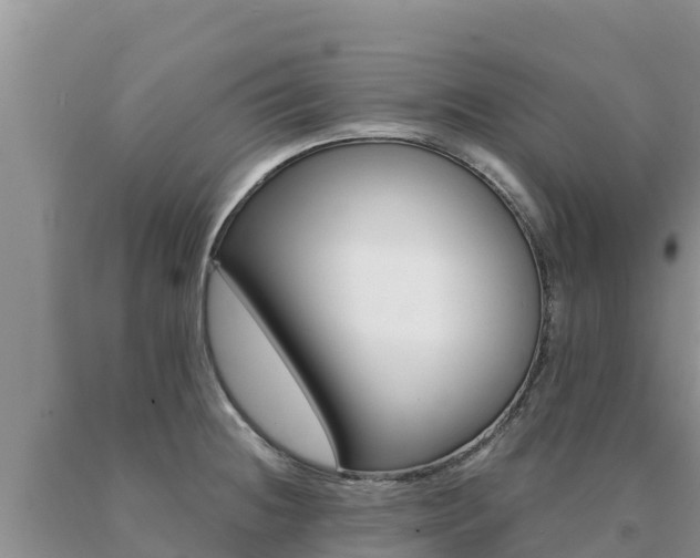 X0000091081236200708061038