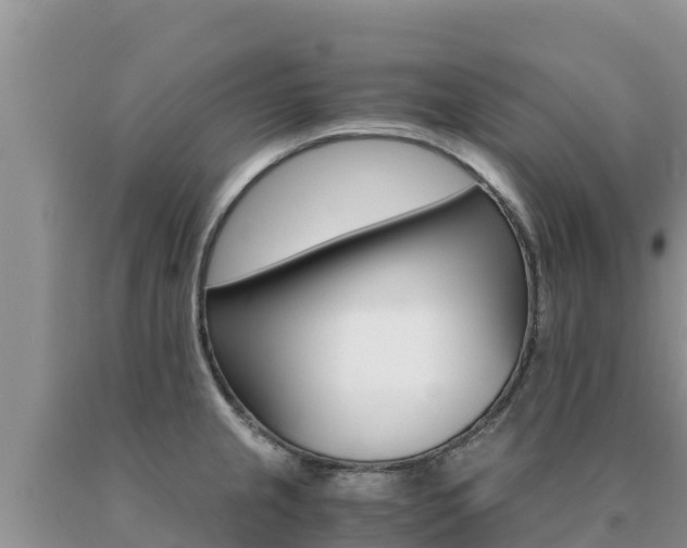 X0000091081237200708061038