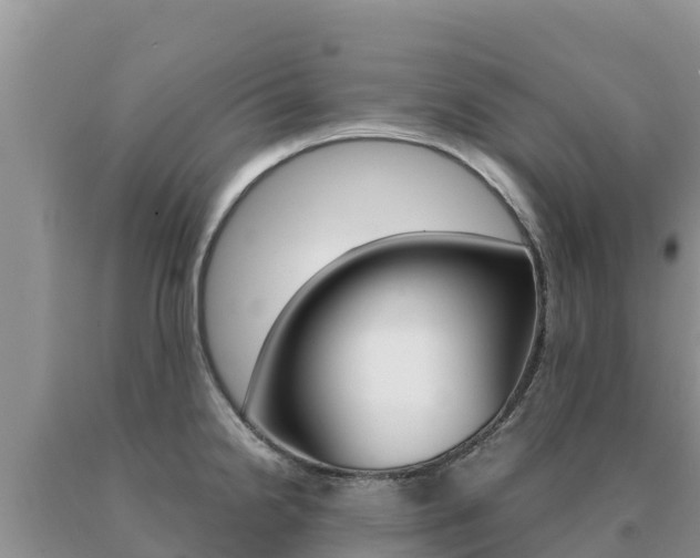 X0000091081238200708061038