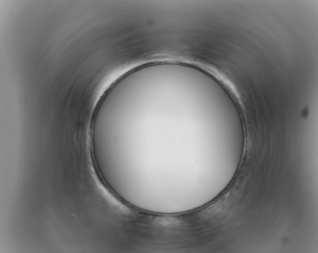 X0000091081239200708061038