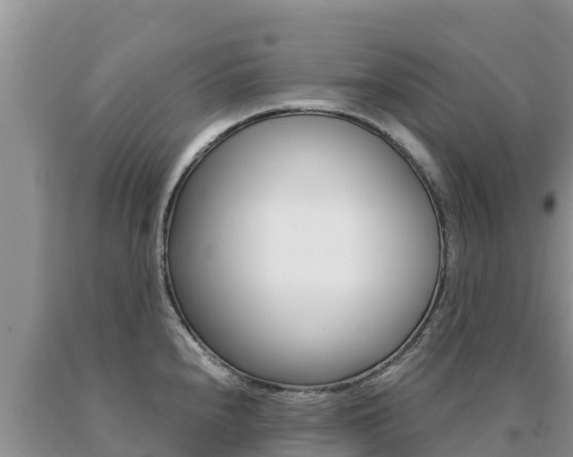 X0000091081240200708061038
