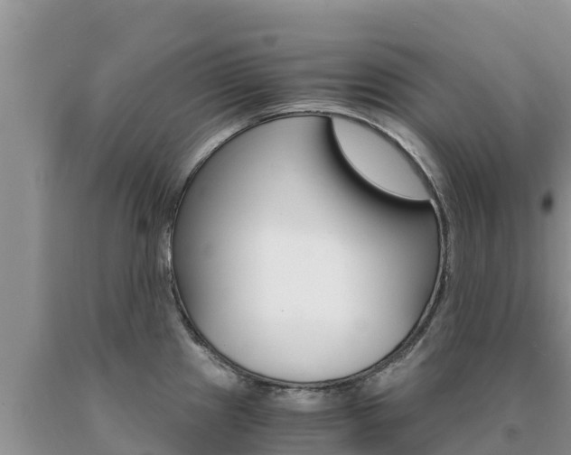 X0000091081241200708061038