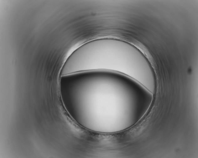 X0000091081242200708061038