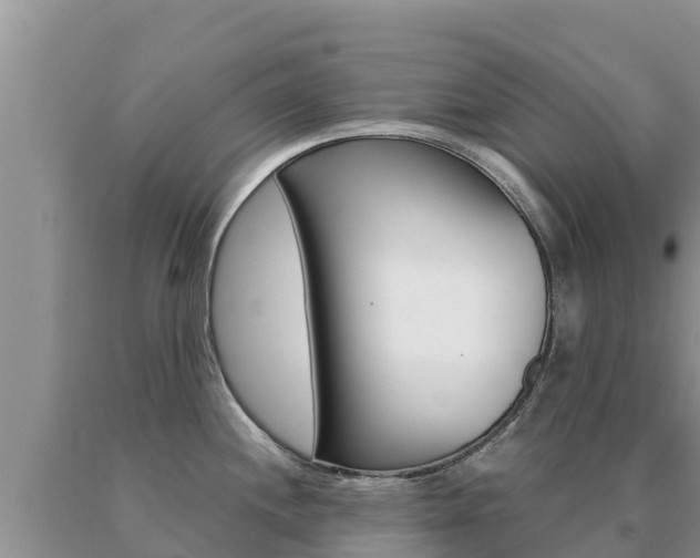 X0000091081244200708061038