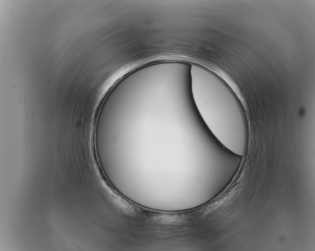 X0000091081245200708061038