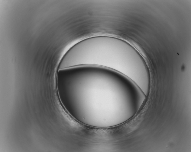 X0000091081246200708061038