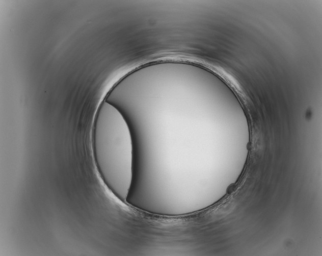 X0000091081247200708061038