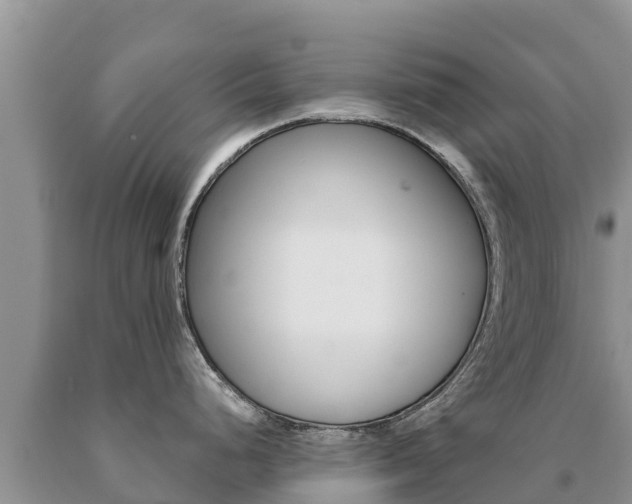 X0000091081248200708061038