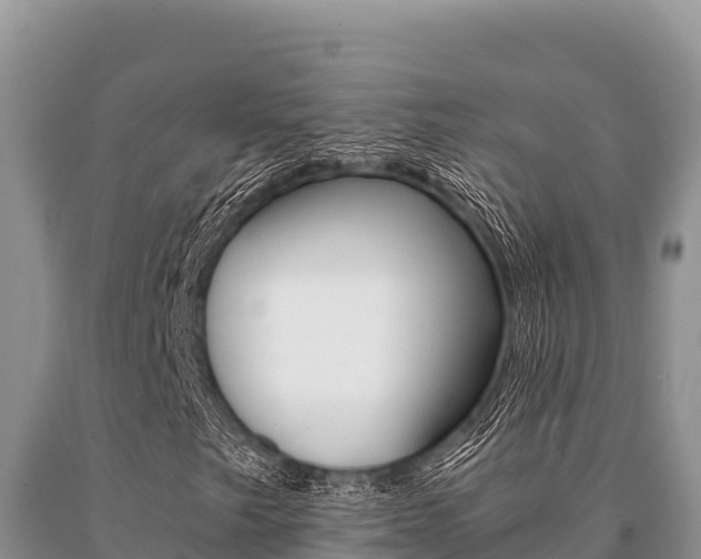 X0000091081249200708061038