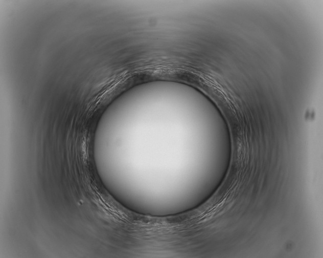 X0000091081250200708061038
