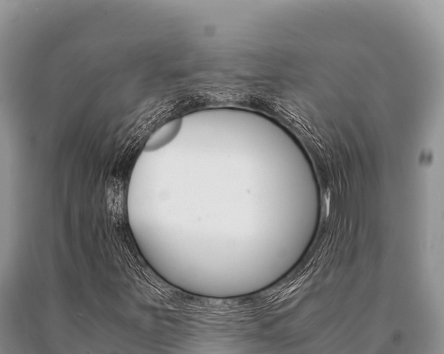 X0000091081251200708061038