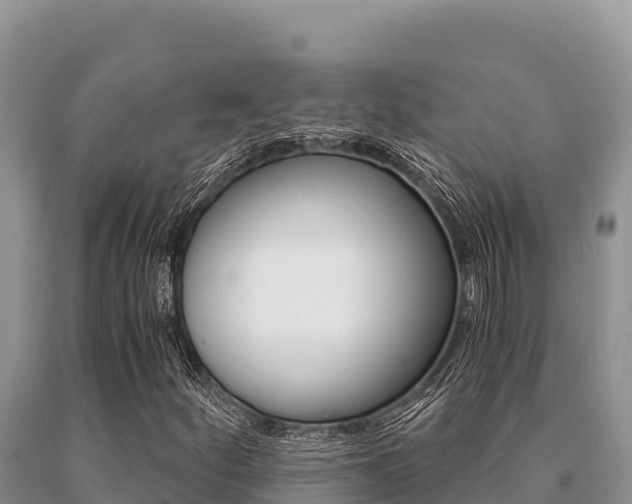 X0000091081252200708061038