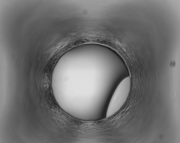 X0000091081253200708061038