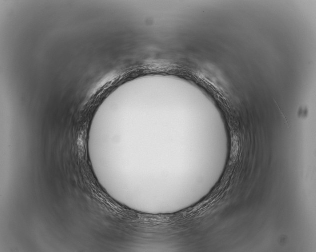 X0000091081254200708061038
