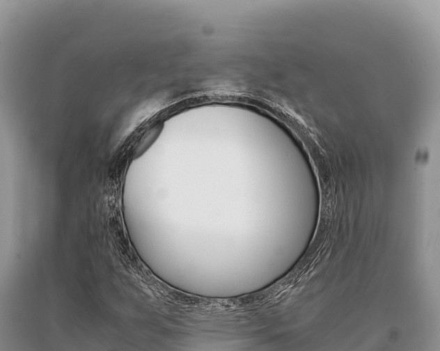 X0000091081255200708061038
