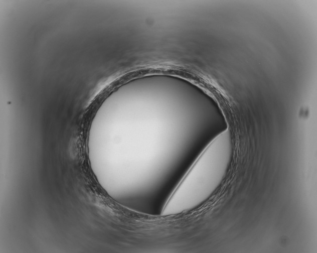 X0000091081256200708061038