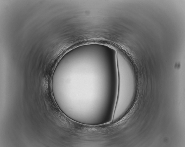 X0000091081257200708061038