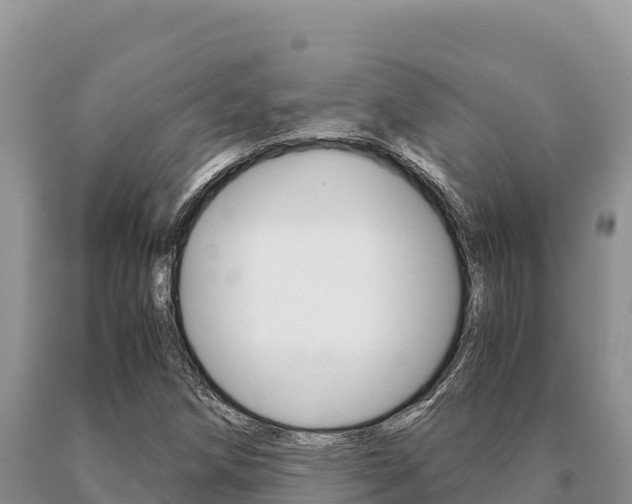 X0000091081258200708061038