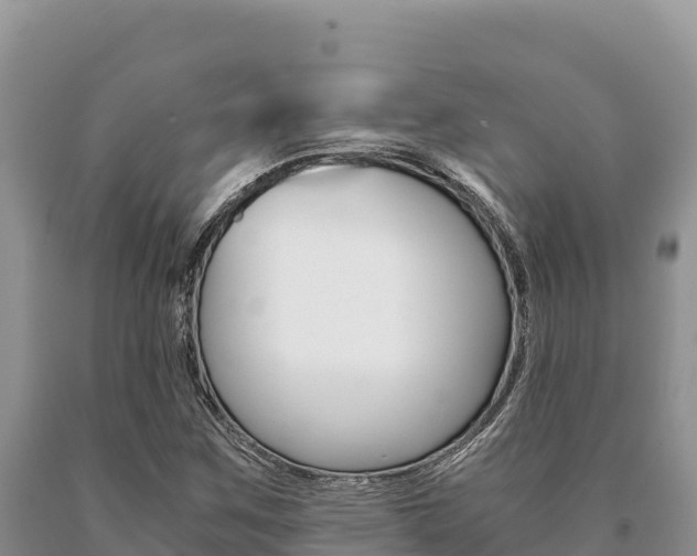 X0000091081259200708061038