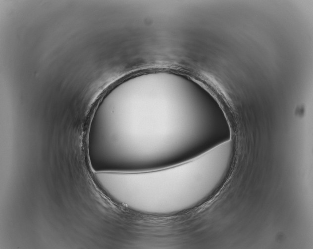 X0000091081260200708061037