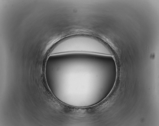 X0000091081261200708061037