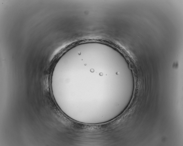 X0000091081262200708061037