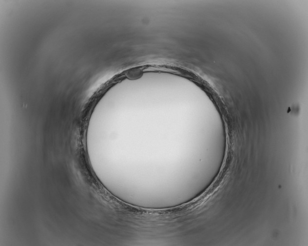 X0000091081263200708061037