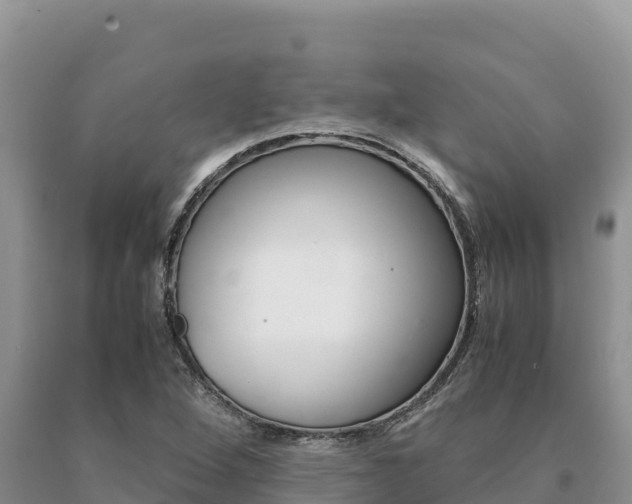 X0000091081264200708061037