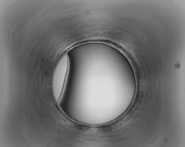 X0000091081265200708061037