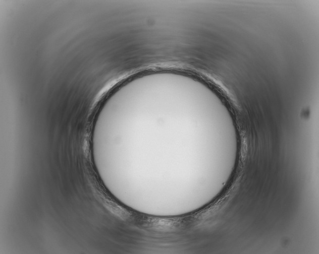 X0000091081266200708061037