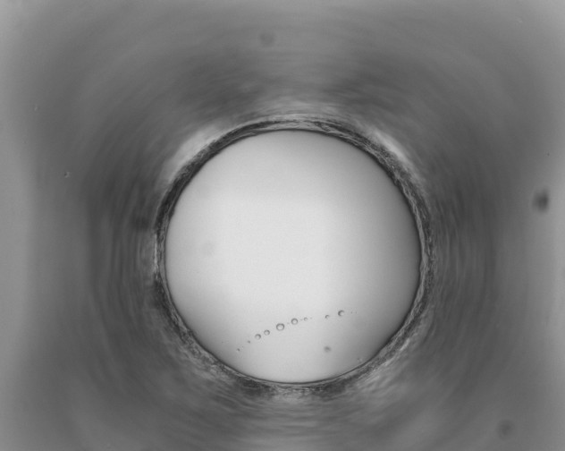 X0000091081267200708061037