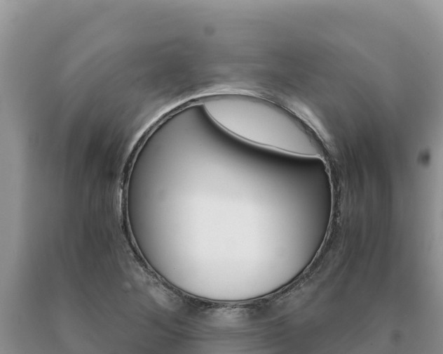 X0000091081268200708061037