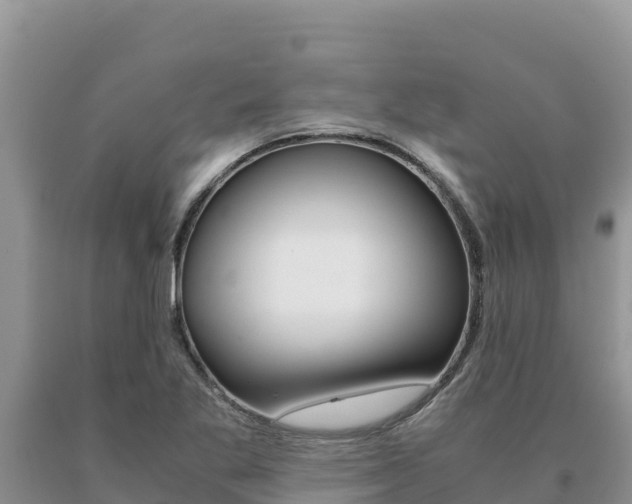 X0000091081269200708061037