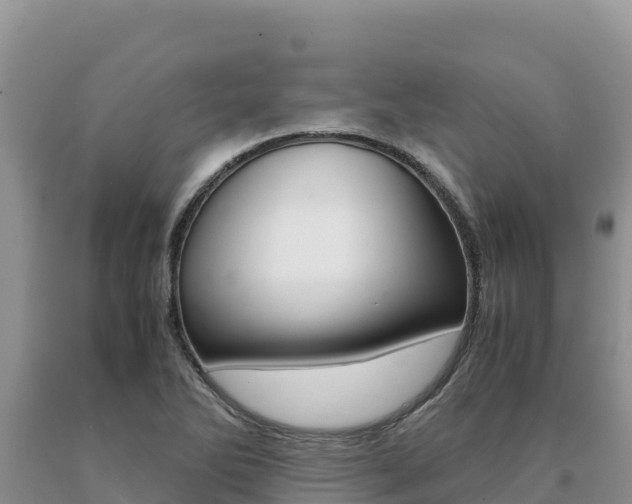 X0000091081270200708061037