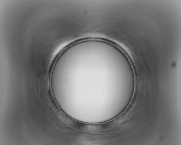 X0000091081271200708061037