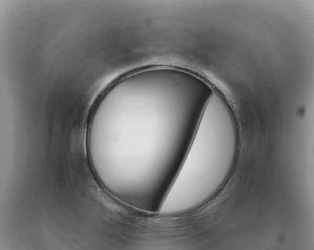 X0000091081272200708061037