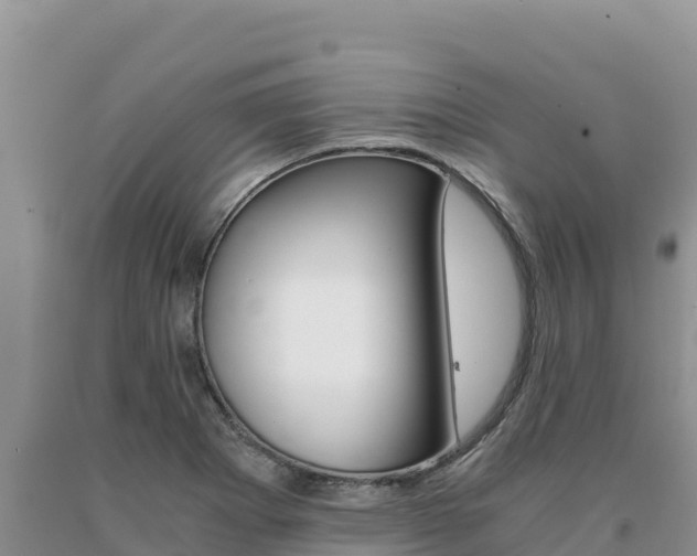 X0000091081273200708061037