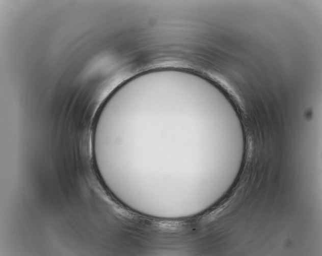 X0000091081274200708061037