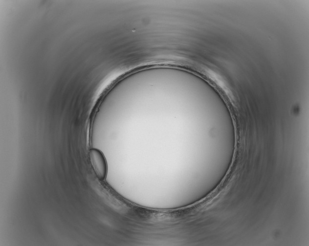 X0000091081275200708061037