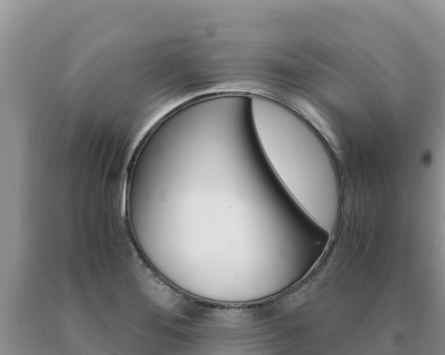 X0000091081276200708061037