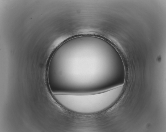 X0000091081277200708061037