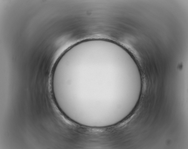 X0000091081278200708061037