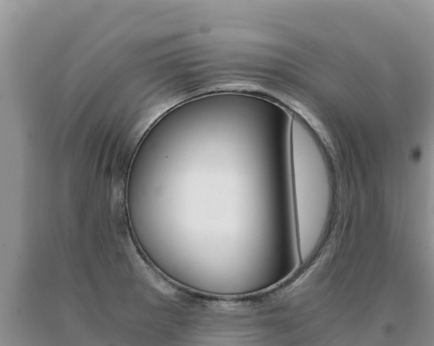 X0000091081281200708061037