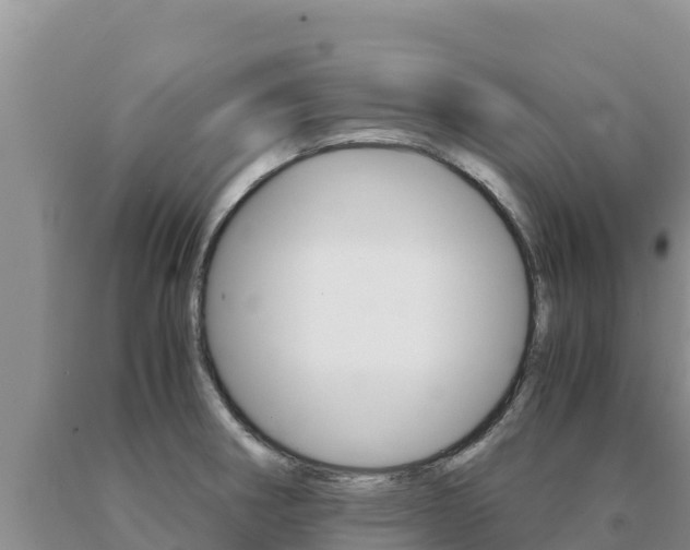 X0000091081282200708061037