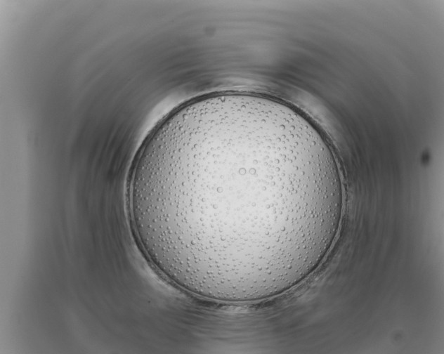 X0000091081283200708061037