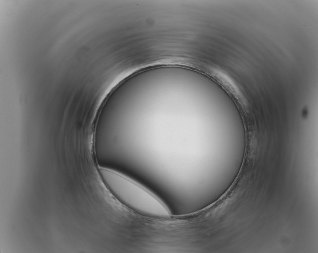 X0000091081284200708061037