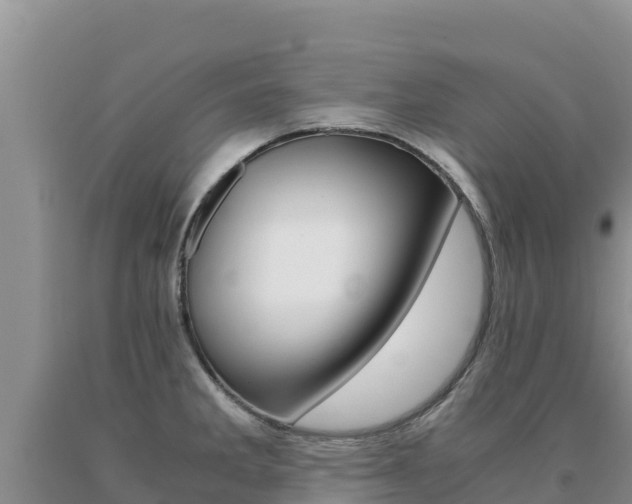 X0000091081285200708061037