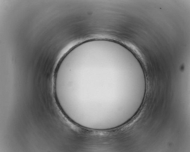 X0000091081286200708061037